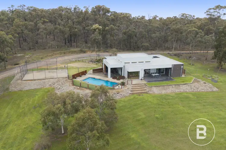 163 Mosquito Road