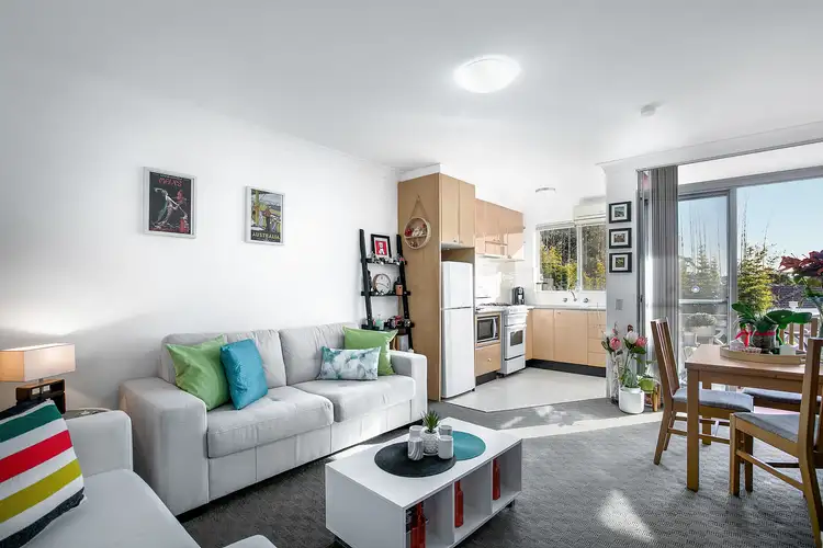 6/92 Harbord Road