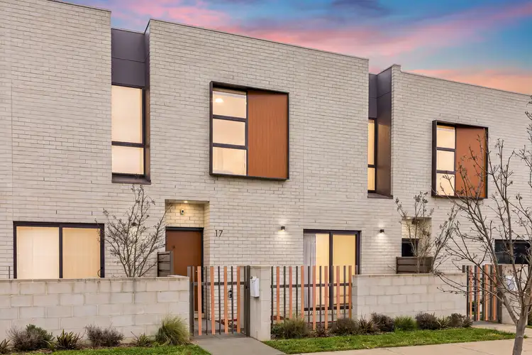 17 Pademelon Street