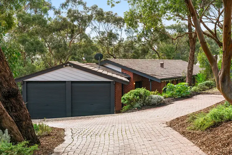 1B Perry Lane
