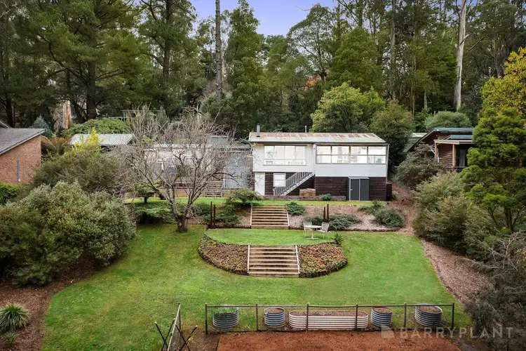 3 Christian Grove