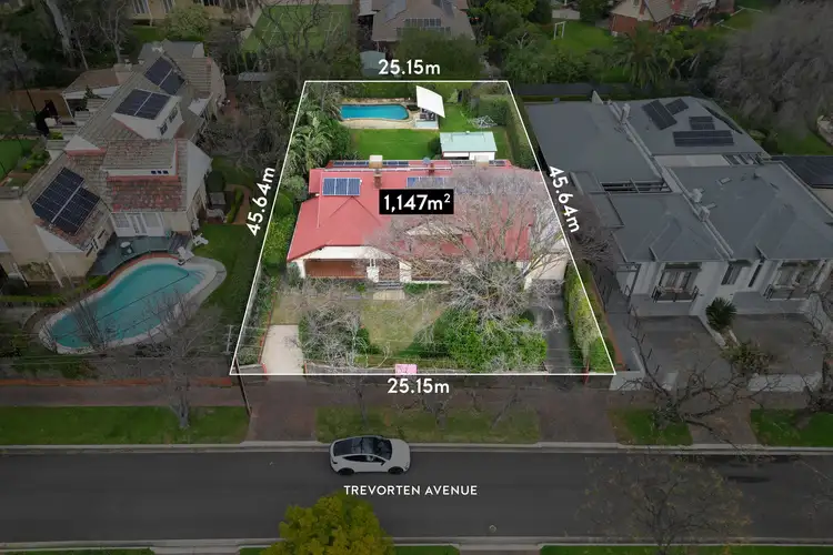 26 Trevorten Avenue