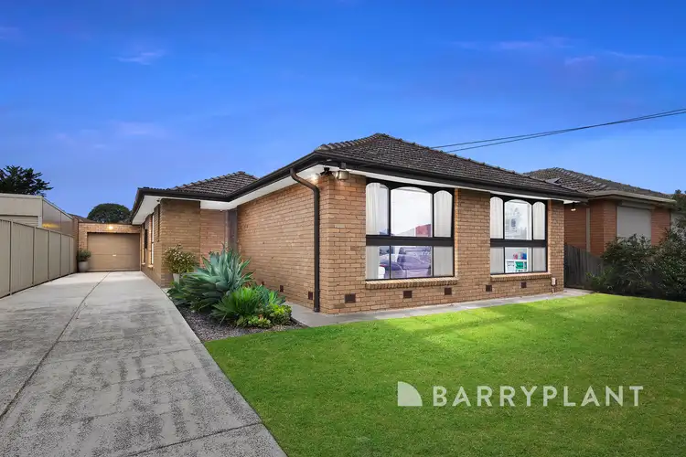 14 Camara Street