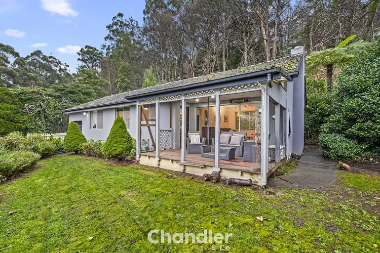 16 Hunter Street