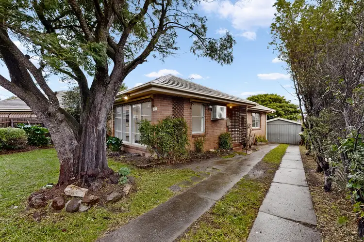 7 Merino Avenue