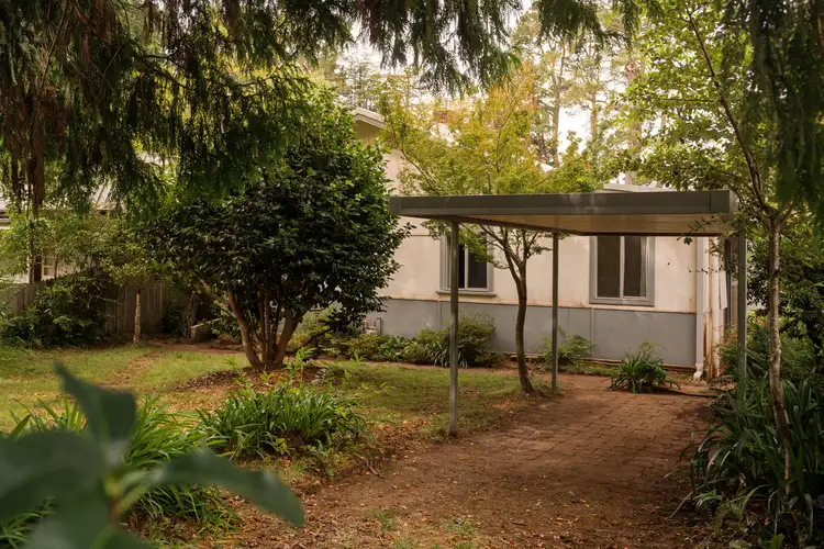 58 Balmoral Road