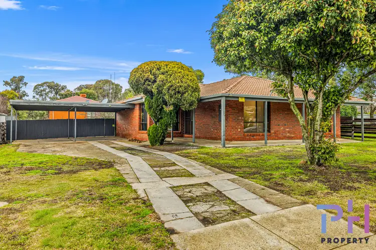 97 Symonds Street