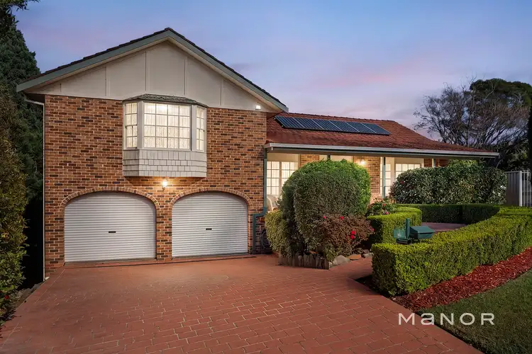 4 Mantillus Grove