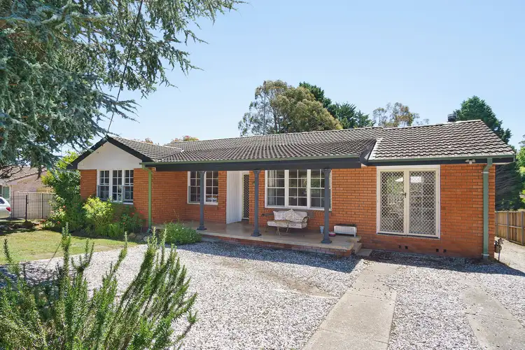 49 Throsby Street