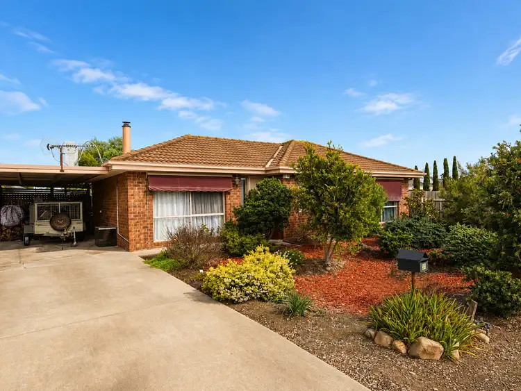 31 Callistemon Court