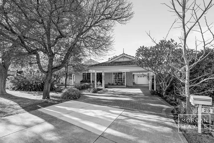 29 Massey Street