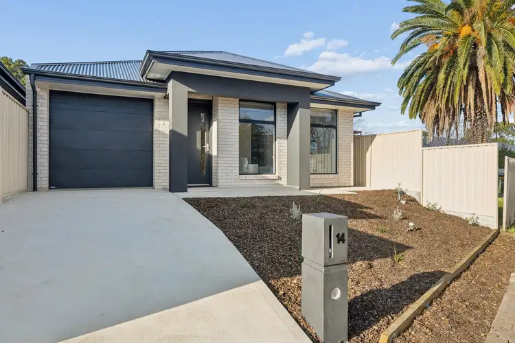14 Petrova Avenue