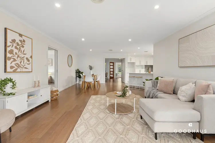 45 Ibis Street