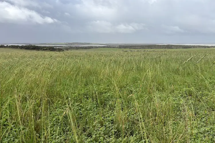 Lot 11 Sceale Bay Road