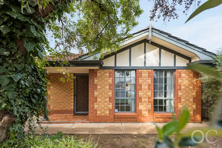 1/14 Lucas Street