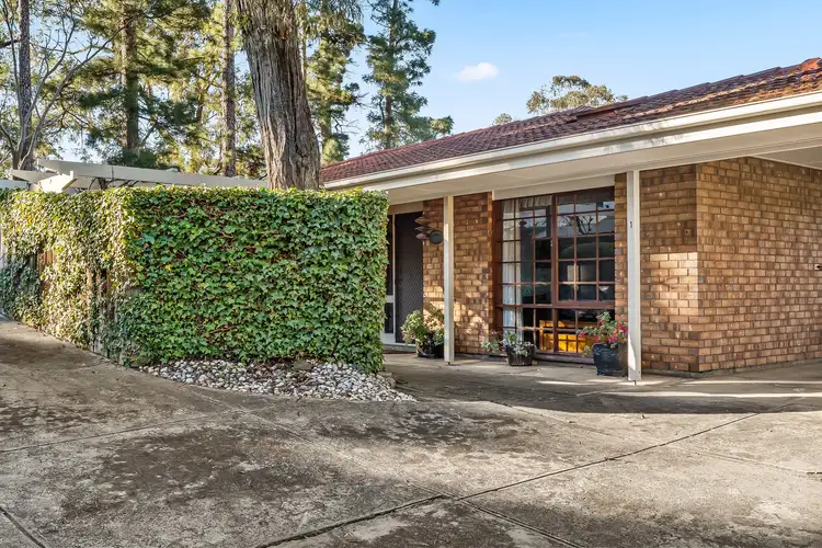 1/2A Rosella Avenue