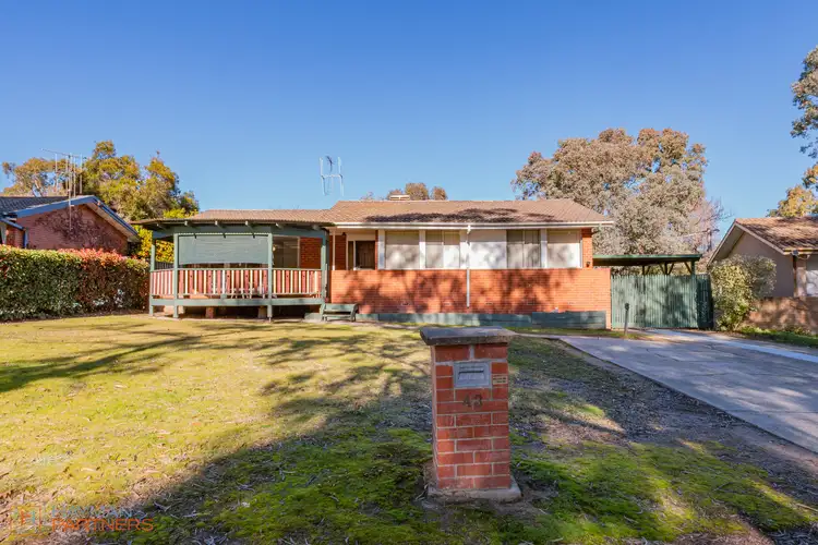 43 McInnes Street