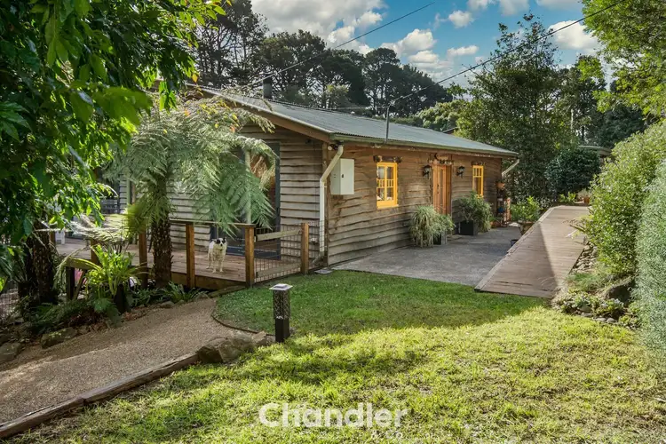 1 Christian Grove