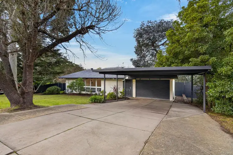 16 Thorngate Drive