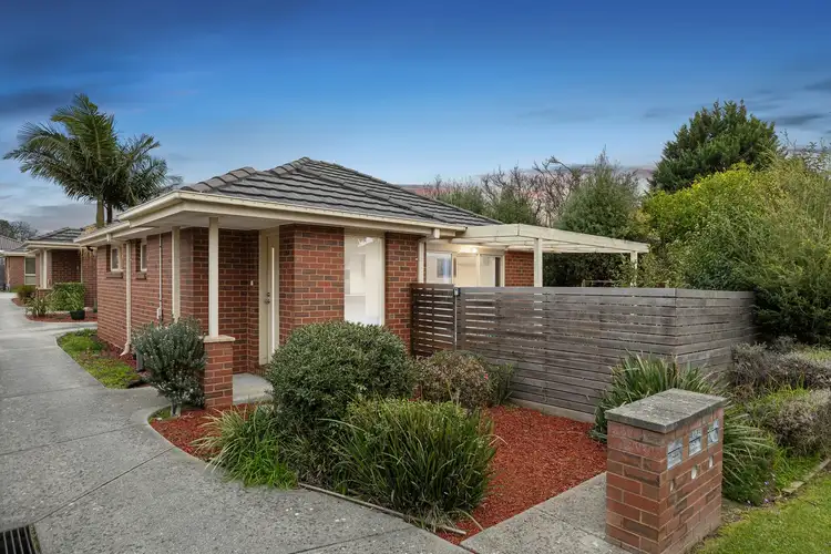 6/8 Myrtle Street