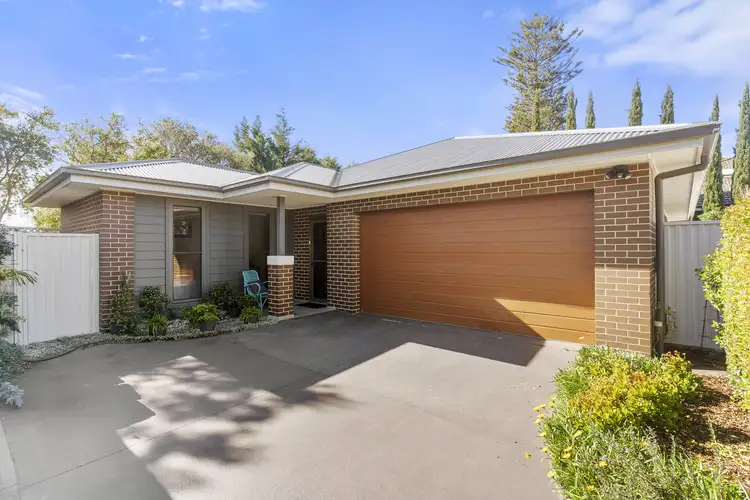 3/16 Kurrajong Street