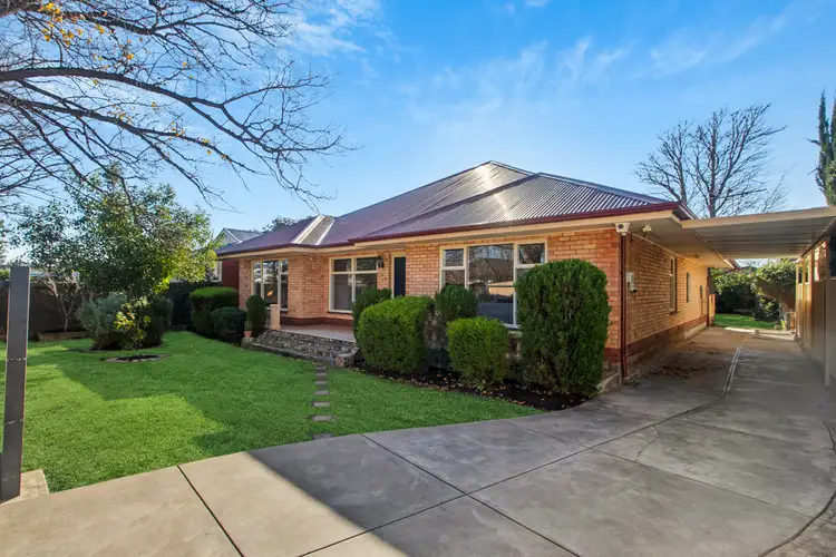 21 McLachlan Avenue