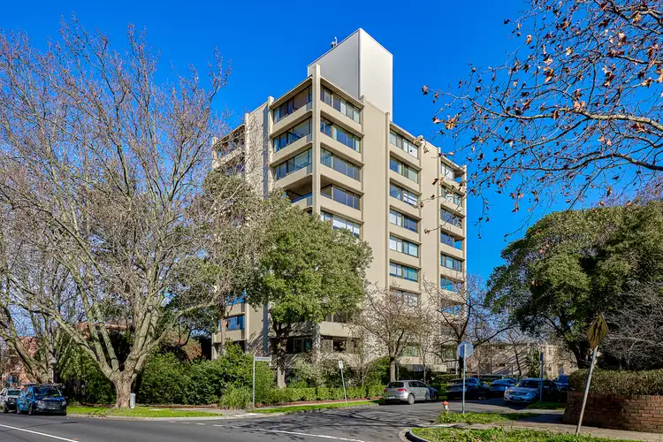 81/503 Orrong Road
