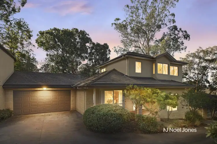3/59 Scott Street