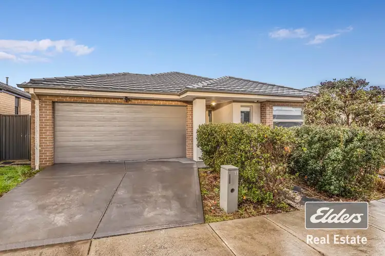 11 Pinebank Street