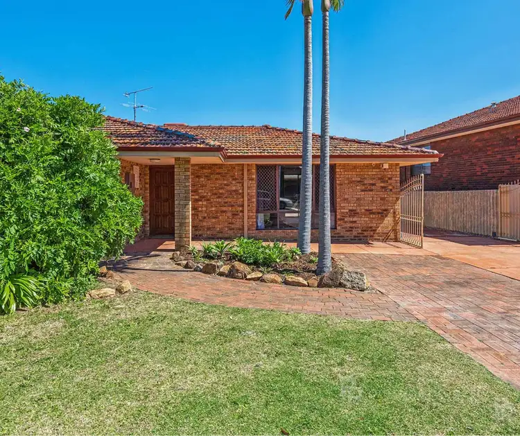49 Grebe Street