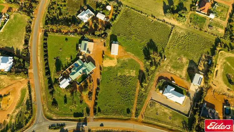 304 Eliza Shaw Drive
