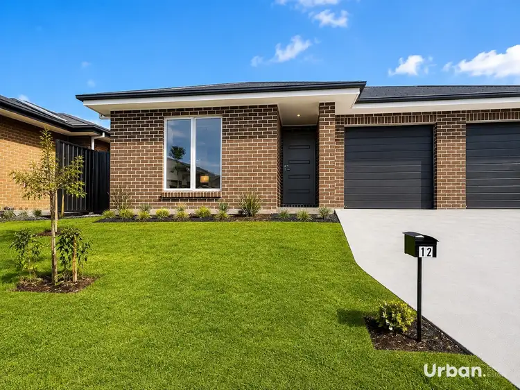 12 Linden Street