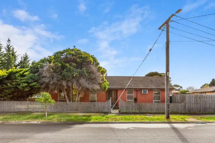12 Cobbler Street