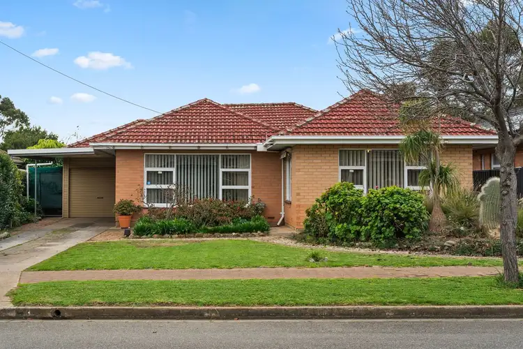 3 Phillis Court
