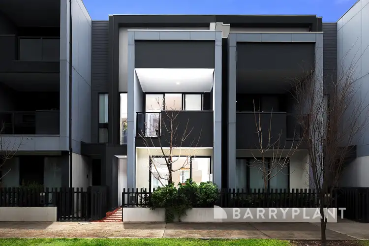 13 Orchid Street