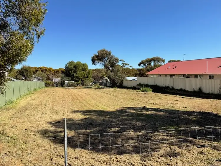 29 Hope Street