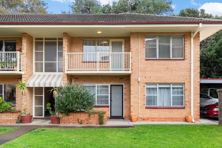 12/2 Tarlton Street