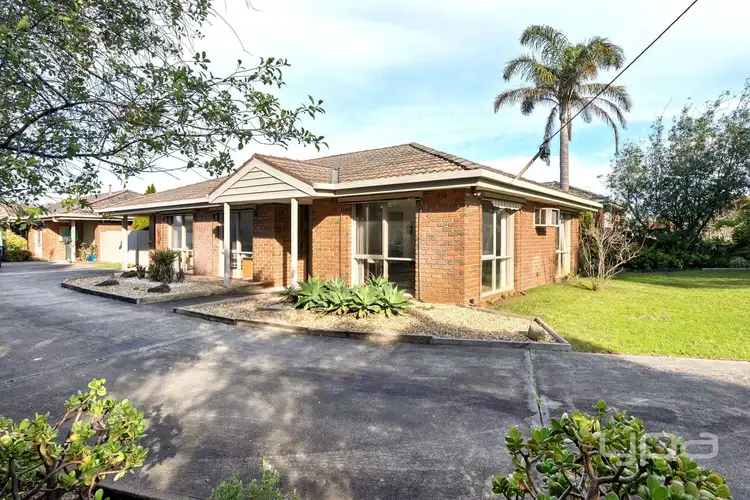 1/49 Morris Street