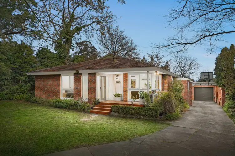 41 Arcadia Avenue