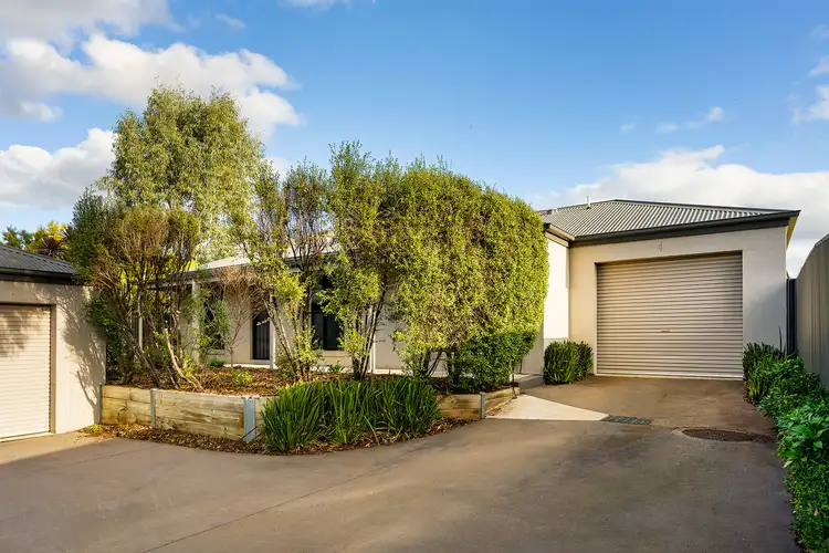 4/77 Elizabeth Street