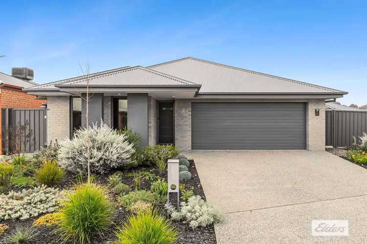 7 Dunnart Court