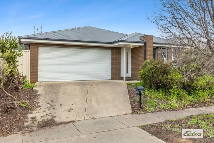 19 Sadlier Street, Wodonga VIC 3690