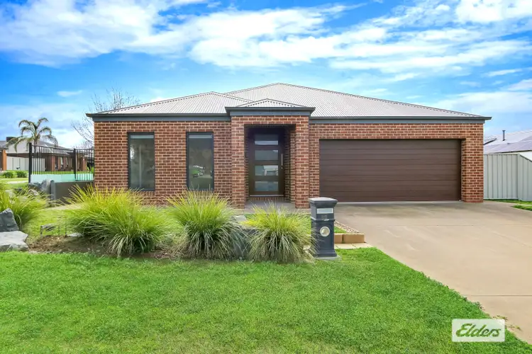 20 Pro Hart Drive