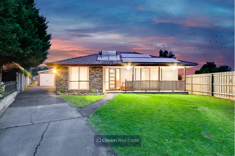 Main view of Homely house listing, 5 Glasgow Court, Endeavour Hills VIC 3802