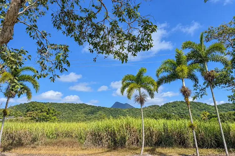 1/25 Pringle Street, Mossman QLD 4873