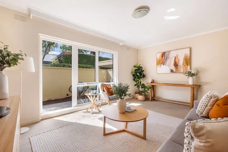 4/3 Irving Street