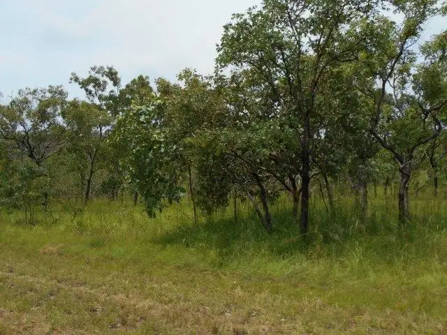 Second view of Homely rural property listing, 6889 Fred Hardy Drive, Robin Falls NT 822