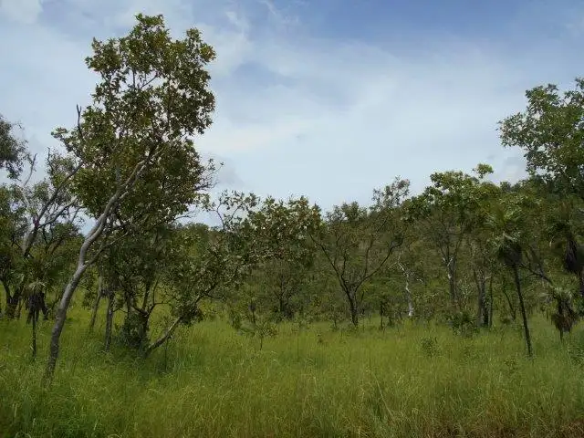 Third view of Homely rural property listing, 6889 Fred Hardy Drive, Robin Falls NT 822