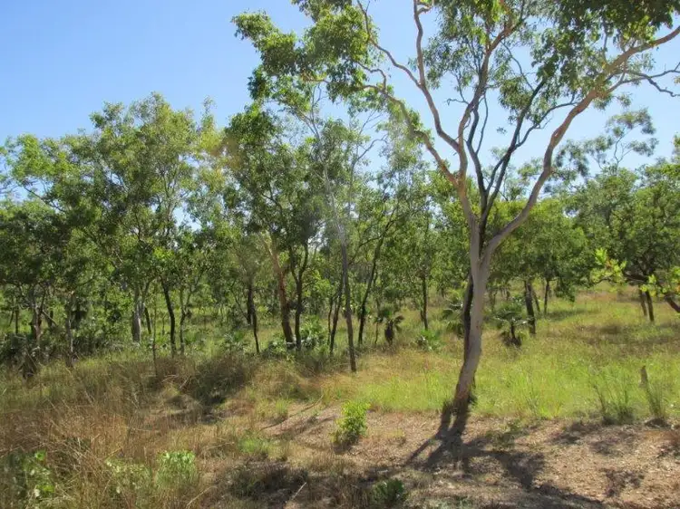 Fourth view of Homely rural property listing, 6889 Fred Hardy Drive, Robin Falls NT 822