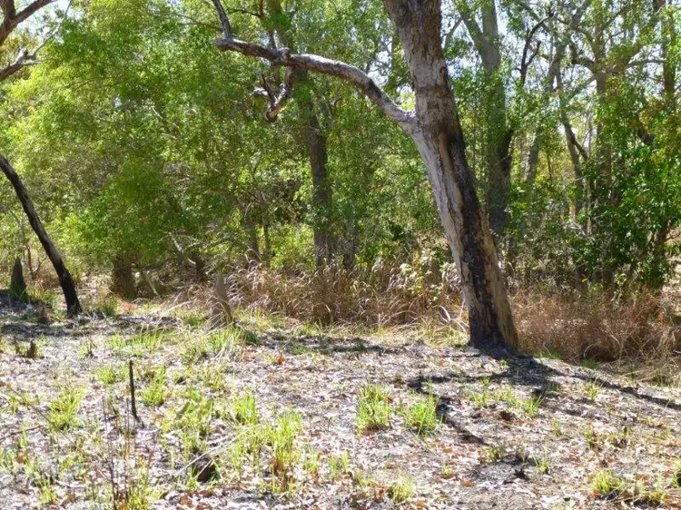 Sixth view of Homely rural property listing, 6889 Fred Hardy Drive, Robin Falls NT 822